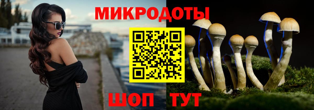Кингисепп  Галлюциногенные грибы GOLDEN TEACHER  Вход с VPN 
